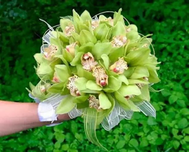 有哪些婚礼花束?给新娘的意见和建议。