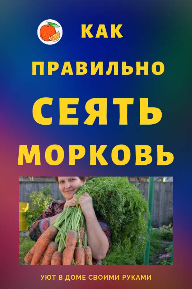 Готовы к такому урожаю? Нужно сеять морковь своими руками следующим образом…