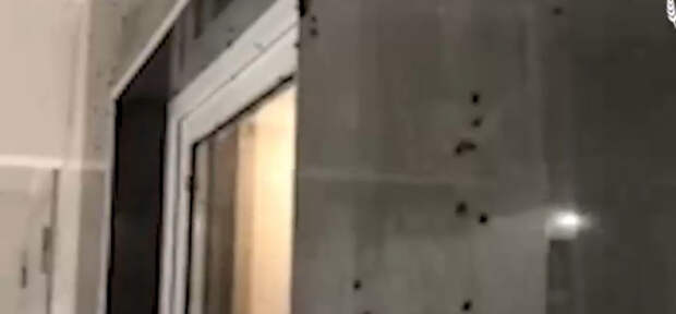 Навозные мухи облепили подъезды многоквартирных домов на Кубни: люди в шоке и просят помощи