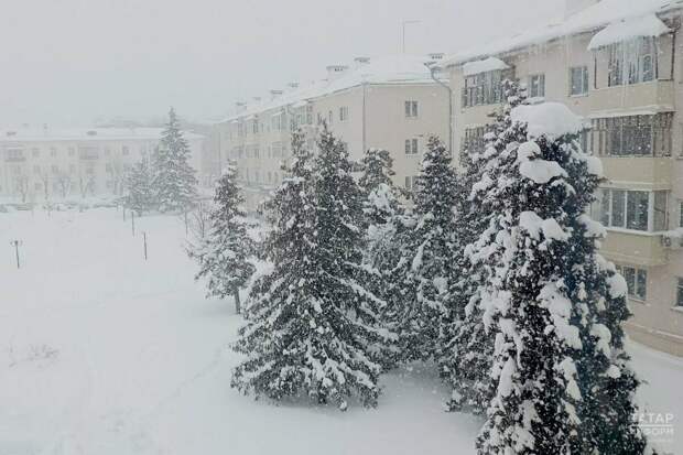 Иртәгә Казан мәктәпләре, балалар бакчалары һәм югары уку йортлары дистанцион укуга күчә