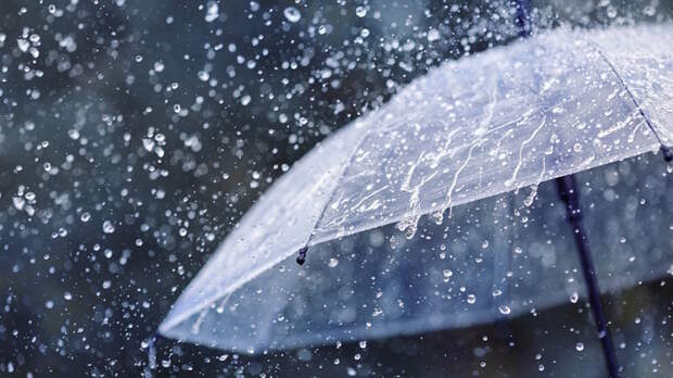 Частые дожди и отрицательная аномалия температуры: какая погода будет в Москве во второй декаде августа