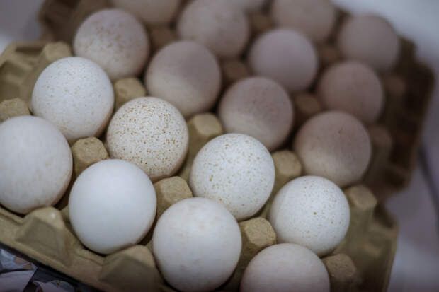 В Европе пожаловались на заполонившие рынок низкосортные яйца с Украины