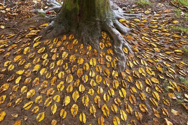 James-Brunt-Natural-Materials-Land-Art-England