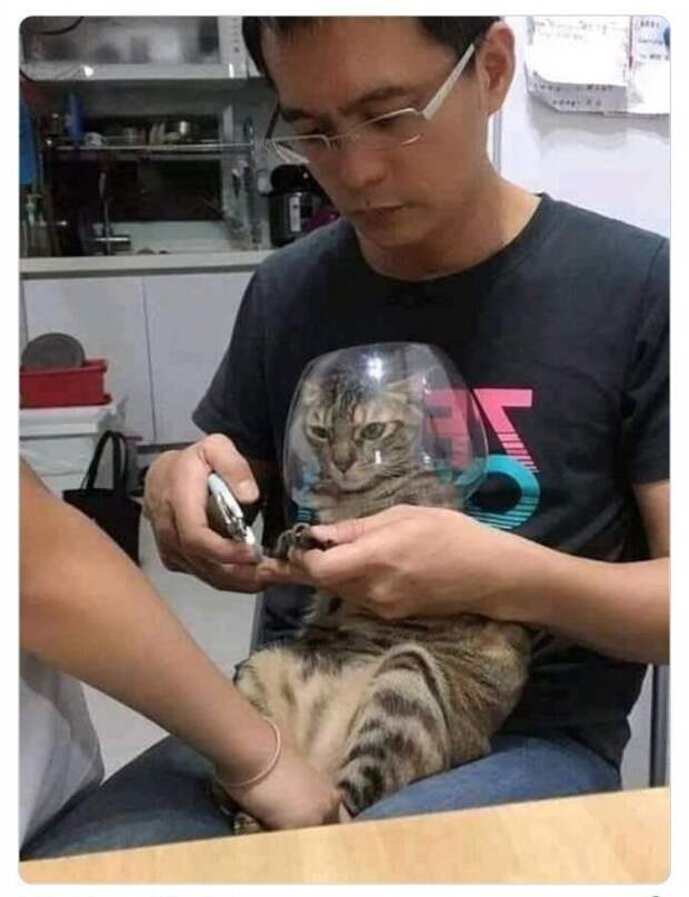 Плененный, но непобежденный Плененный, но непобежденный