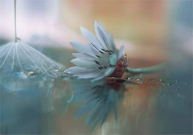 15 (700x490, 23Kb)