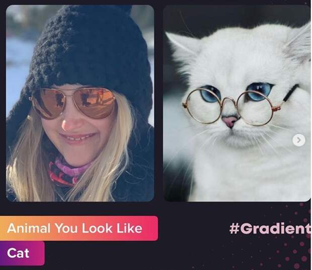 Animal you look like