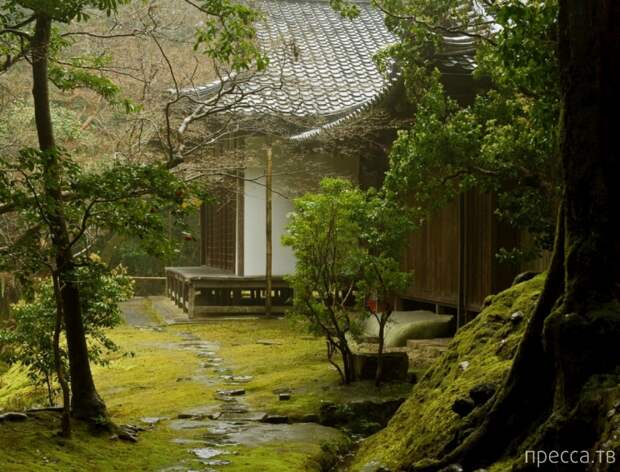 Сад мхов Saiho-ji. Япония (26 фото)