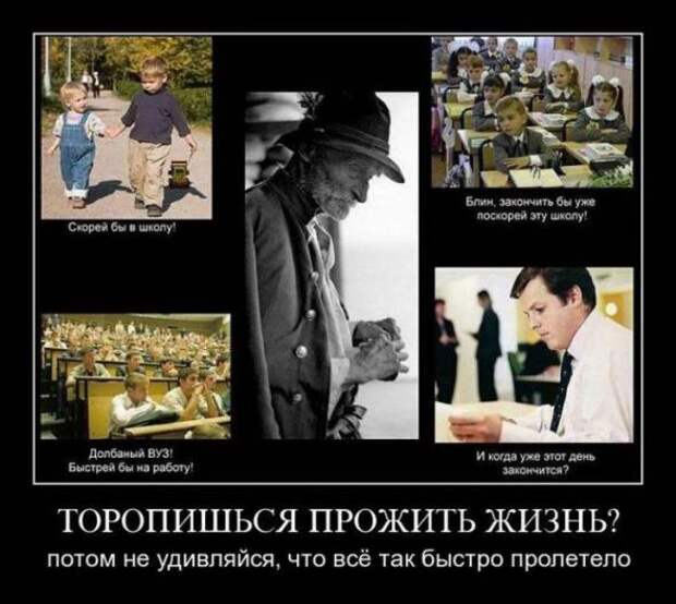 Подборка классных демотиваторов № 101