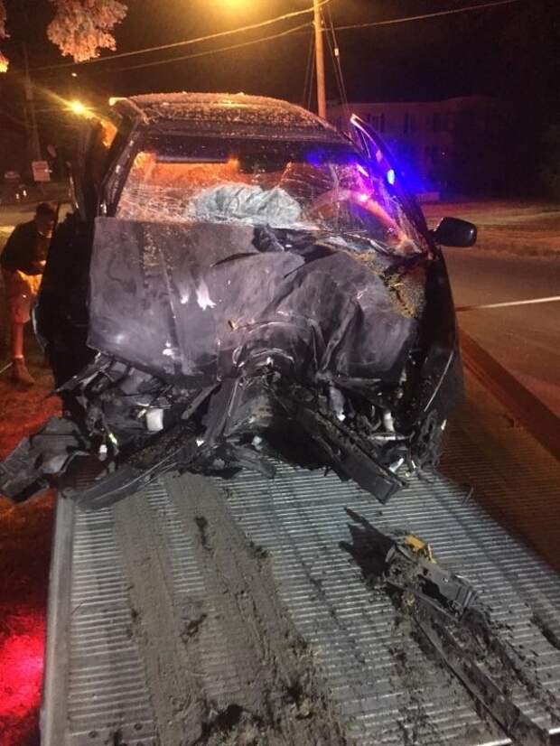 A driver crashed his car into a tree while playing Pokémon Go on his phone, the Auburn Police Department in New York said Wednesday.