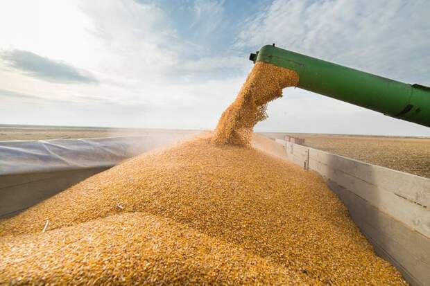 Благодаря антироссийским санкциям Россия завалила Латвию зерном