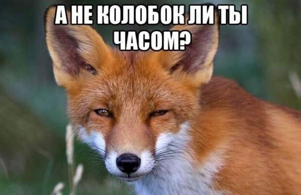 Веселые картинки с надписями для хорошего настроения (12 фото) Веселые картинки с надписями для хорошего настроения (12 фото)