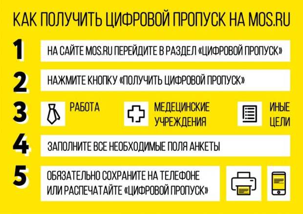 Инфографика: сайт мэра Москвы Mos.ru