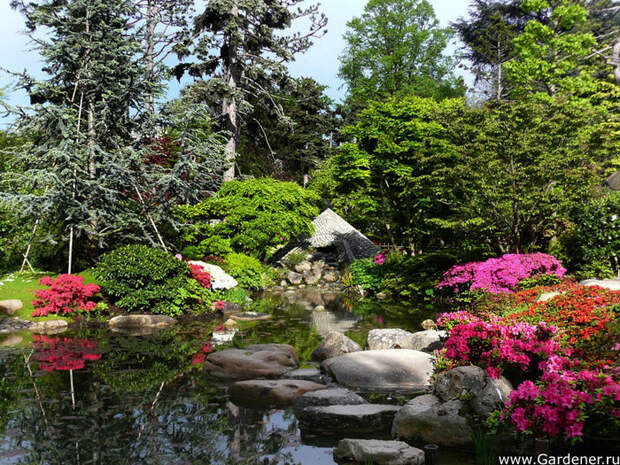 5[2] (700x525, 217Kb)