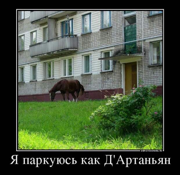 Свежие демотиваторы (20 шт)