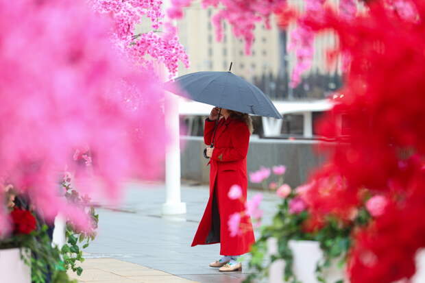Москвичам назвали самый дождливый день на неделе