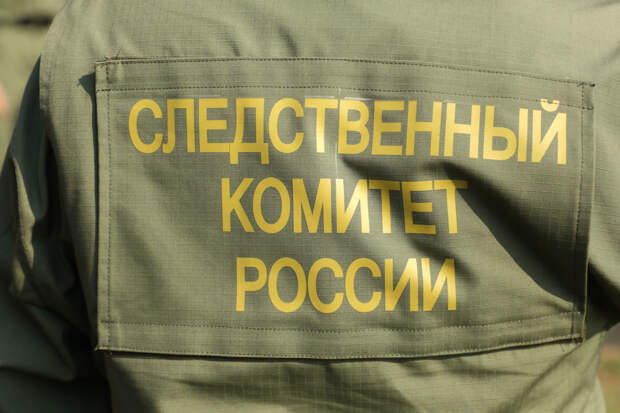 В Петербурге возбудили сразу 12 уголовных дел на взломщика аккаунтов курьеров
