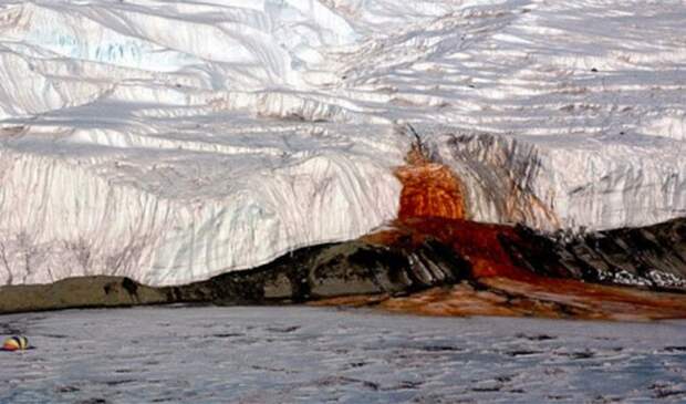Невероятное природное явление: кровоточащий ледник.