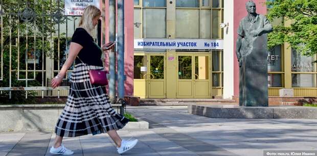 конституция, голосование, мосру, 1072