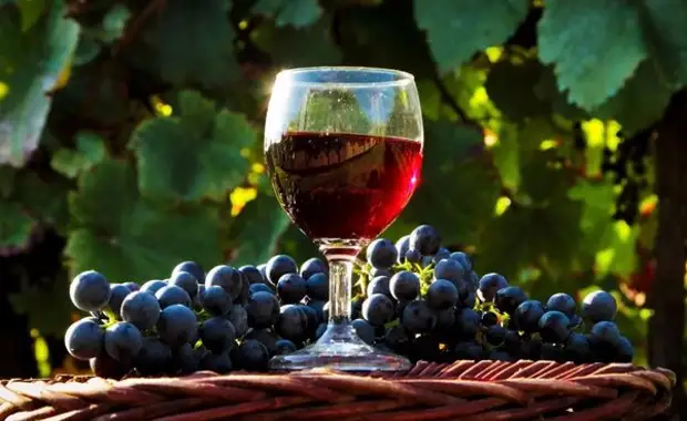 Вино из винограда в домашних условиях – простой рецепт