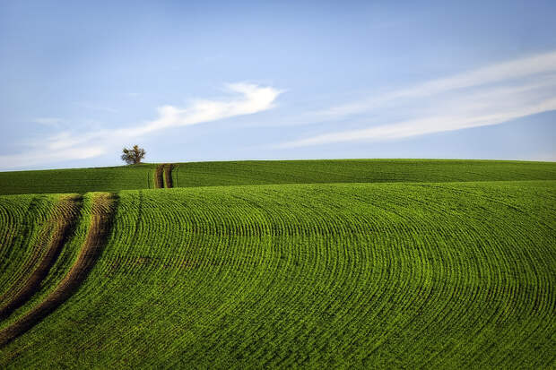 Холмы Palouse, США Palouse 6 Изумрудные холмы Палуз