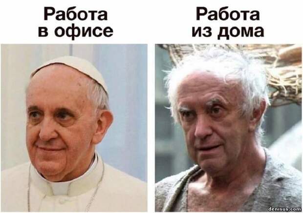 юмор, приколы