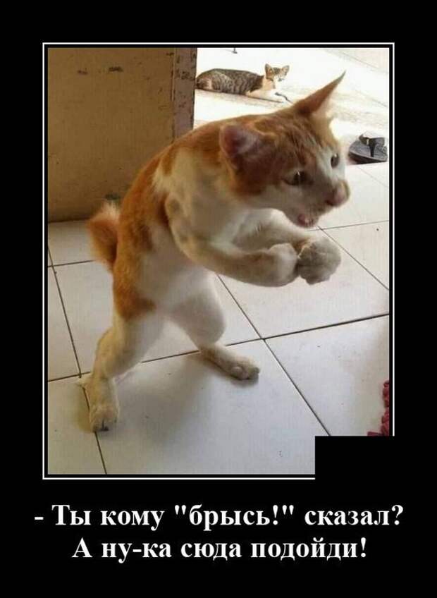 Демотиваторы 17 августа 2020