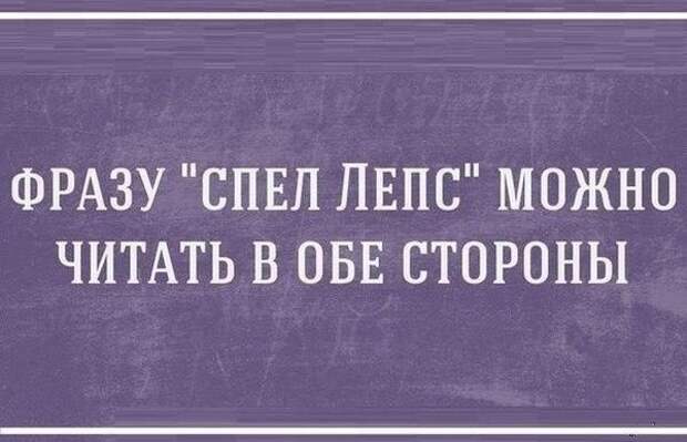 Актуальные цитаты интернета