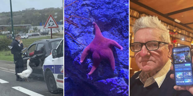 Фото, от которых невозможно отвести взгляд: 22 примера странного и смешного