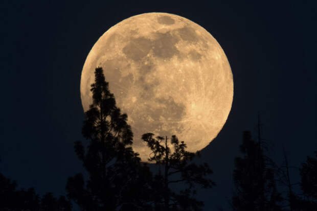 "Лунный хоровод" из четырех спутников Земли заметили над Петербургом