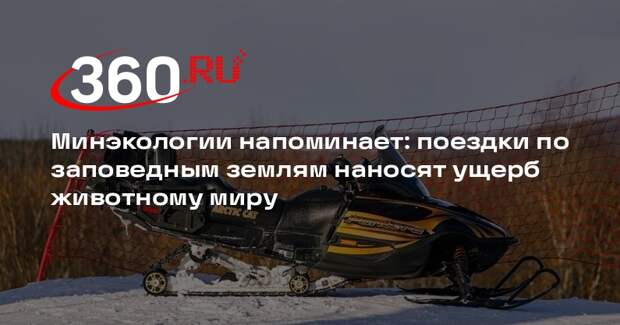 Любители снегоходов нарушают покой лесных обитателей в Подмосковье