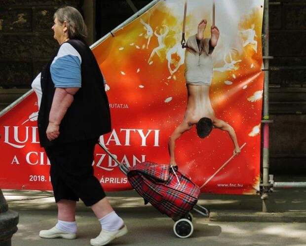 www.vsyako.net