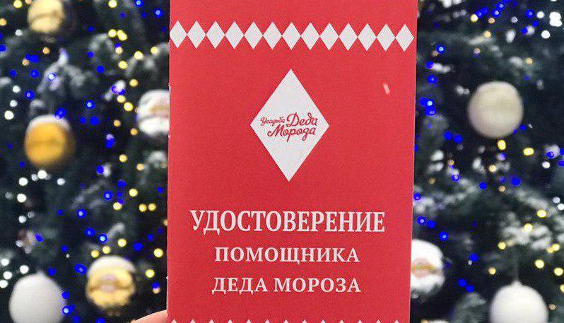 Удостоверение помощника Деда Мороза. Фото: открытый источник