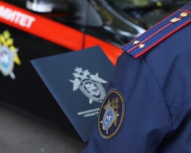 Главе ведомства будет представлен доклад о расследовании обстоятельств нападения бездомной собаки на ребенка в Курске