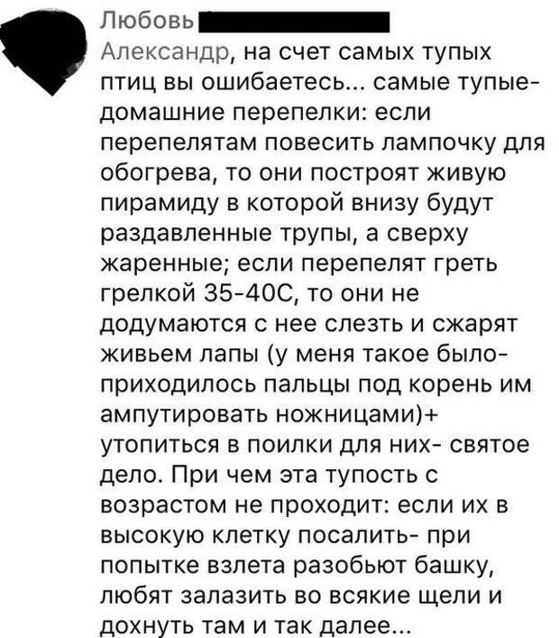 Юмор социальных сетей (26 скриншотов)