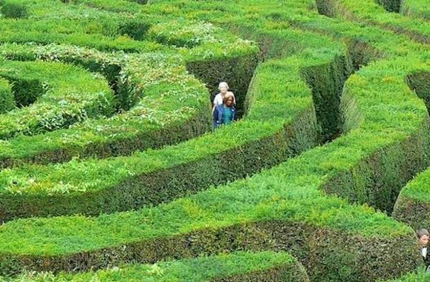 samyi-dlinnyi-labirint-5 самый длинный лабиринт Longleat Hedge Maze