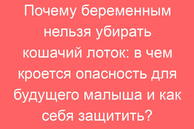 Почему беременным нельзя убирать кошачий лоток: в чем кроется опасность для будущего малыша и как себя защитить?