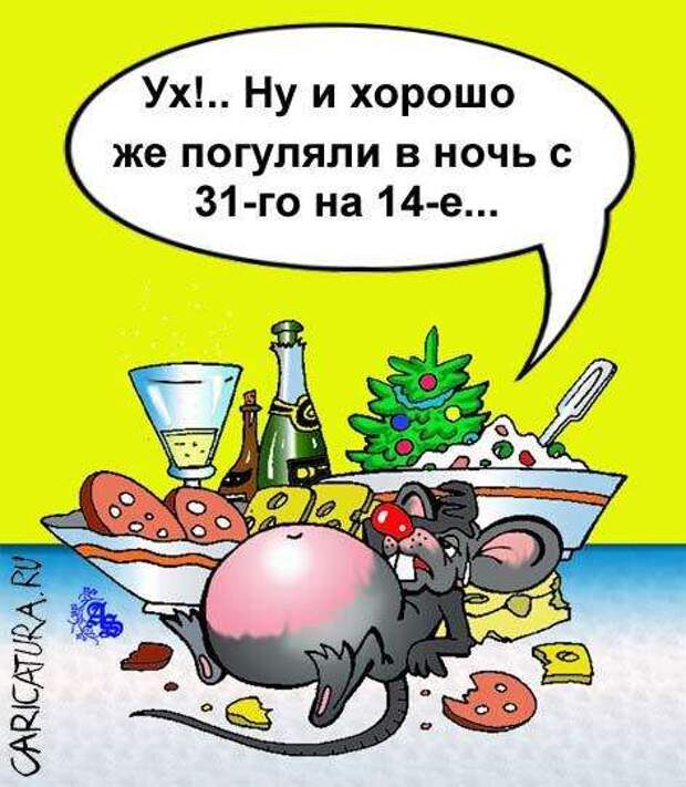 Карикатуры на новогоднюю тему (115 картинок)