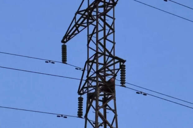 Хинштейн: энергетики восстановили электричество в Курском приграничье