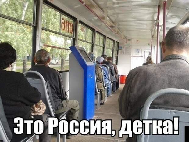 Прикольные картинки Прикольные картинки