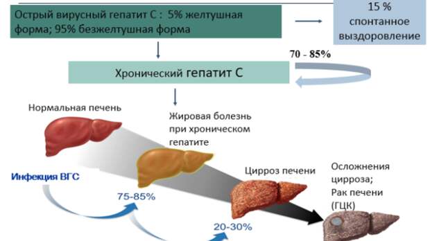 Форум Стоимость Лечения Гепатита С