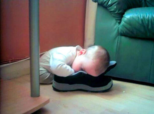 Napping In A Shoe