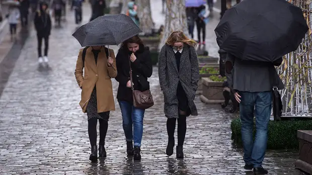 В Краснодарском крае объявлено экстренное предупреждение из-за осадков