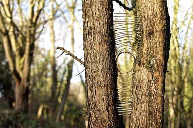 James-Brunt-Natural-Materials-Land-Art-England