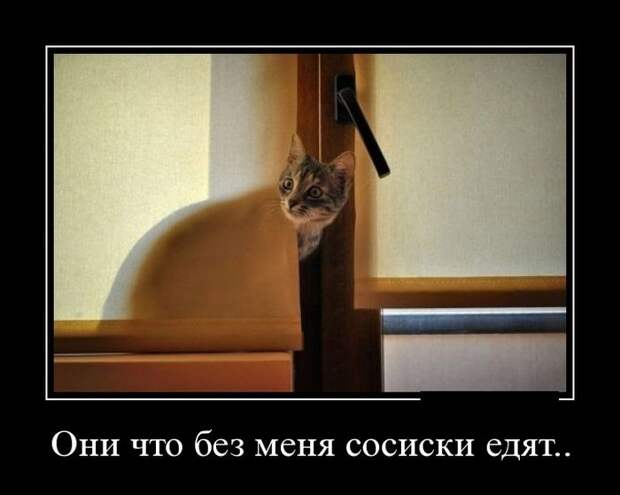 Демотиваторы дня от 31-08-2014