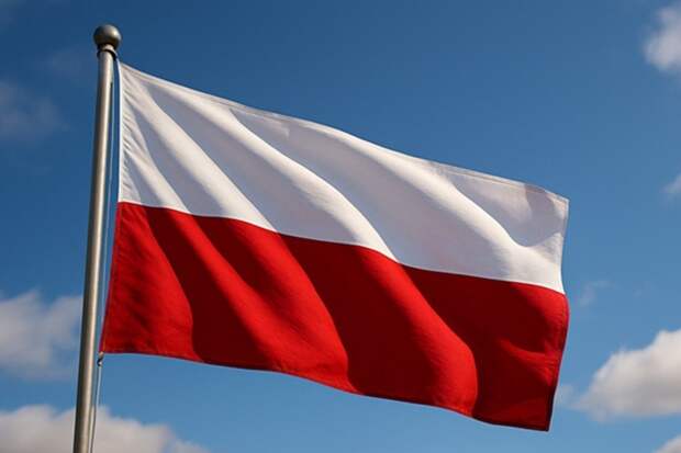 В Польше возмутились словами посла США в адрес спикера Сейма