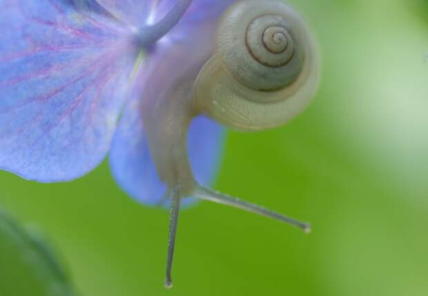 Есть только миг между прошлым и будущем... Есть только миг между прошлым и будущем...