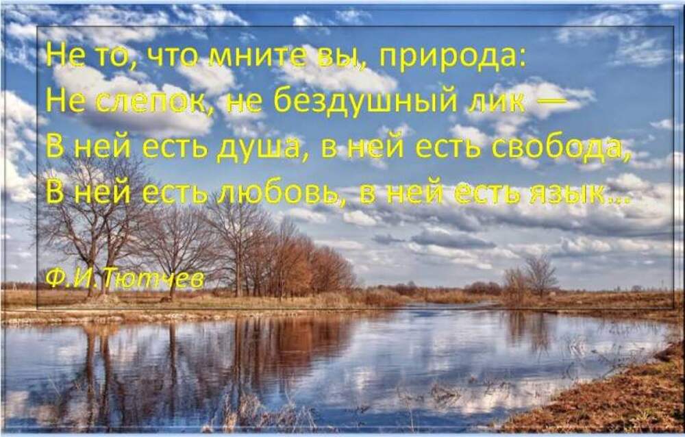 Схема предложения здесь медленны реки туманны озера и все ускользает от беглого взора