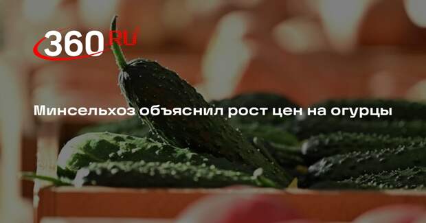 Минсельхоз: огурцы зимой дороже — это сезонное