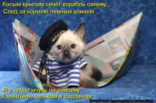 Лучшие котоматрицы недели Лучшие котоматрицы недели