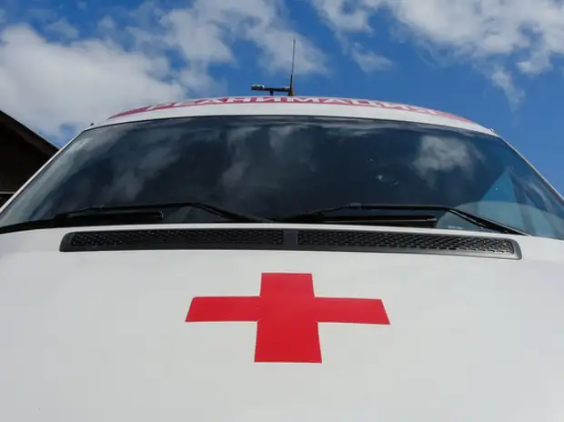 Под Петербургом разбился легкомоторный самолет